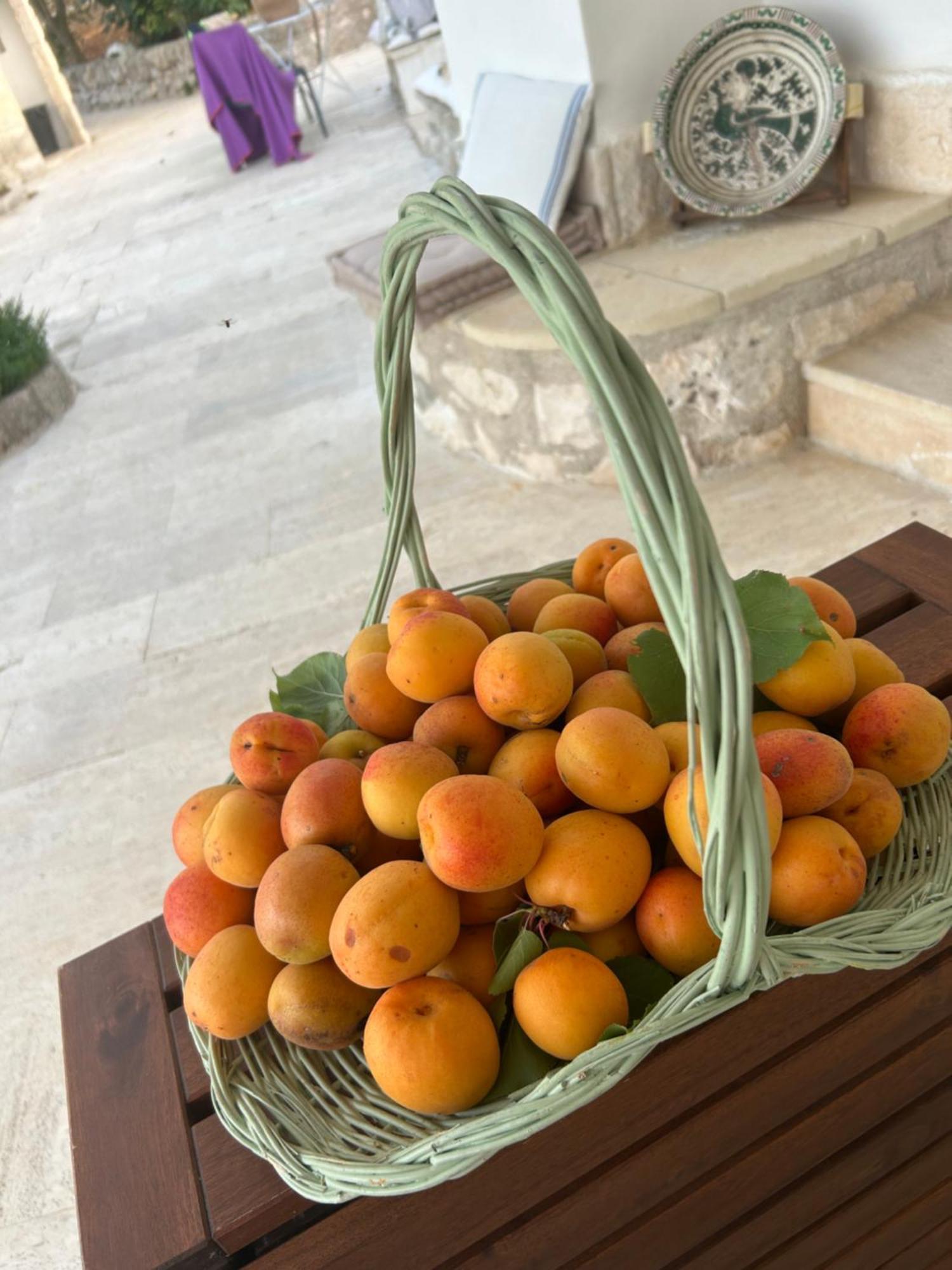 Bed and Breakfast Il Trullo Di Simona Locorotondo Zewnętrze zdjęcie