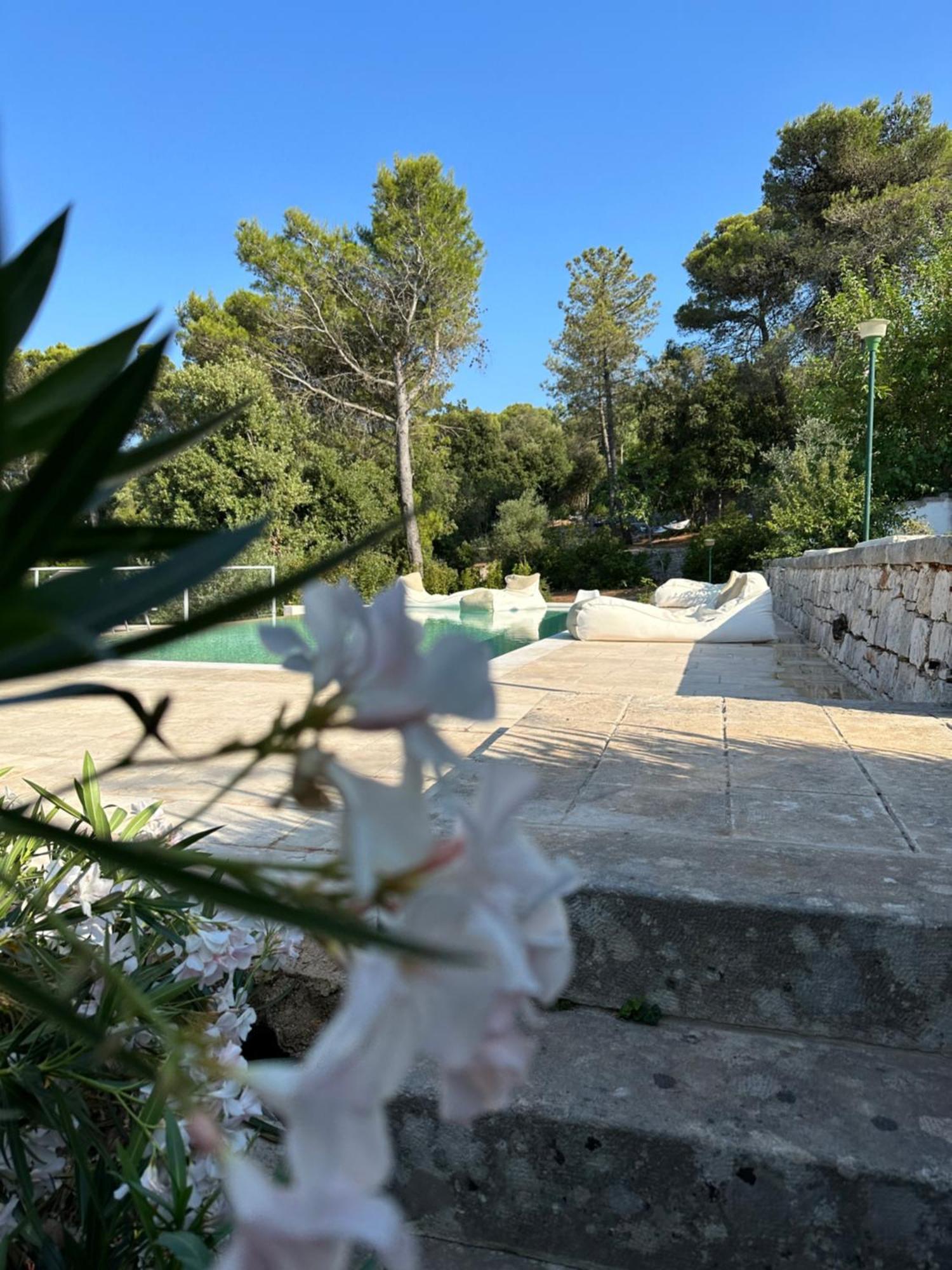 Bed and Breakfast Il Trullo Di Simona Locorotondo Zewnętrze zdjęcie