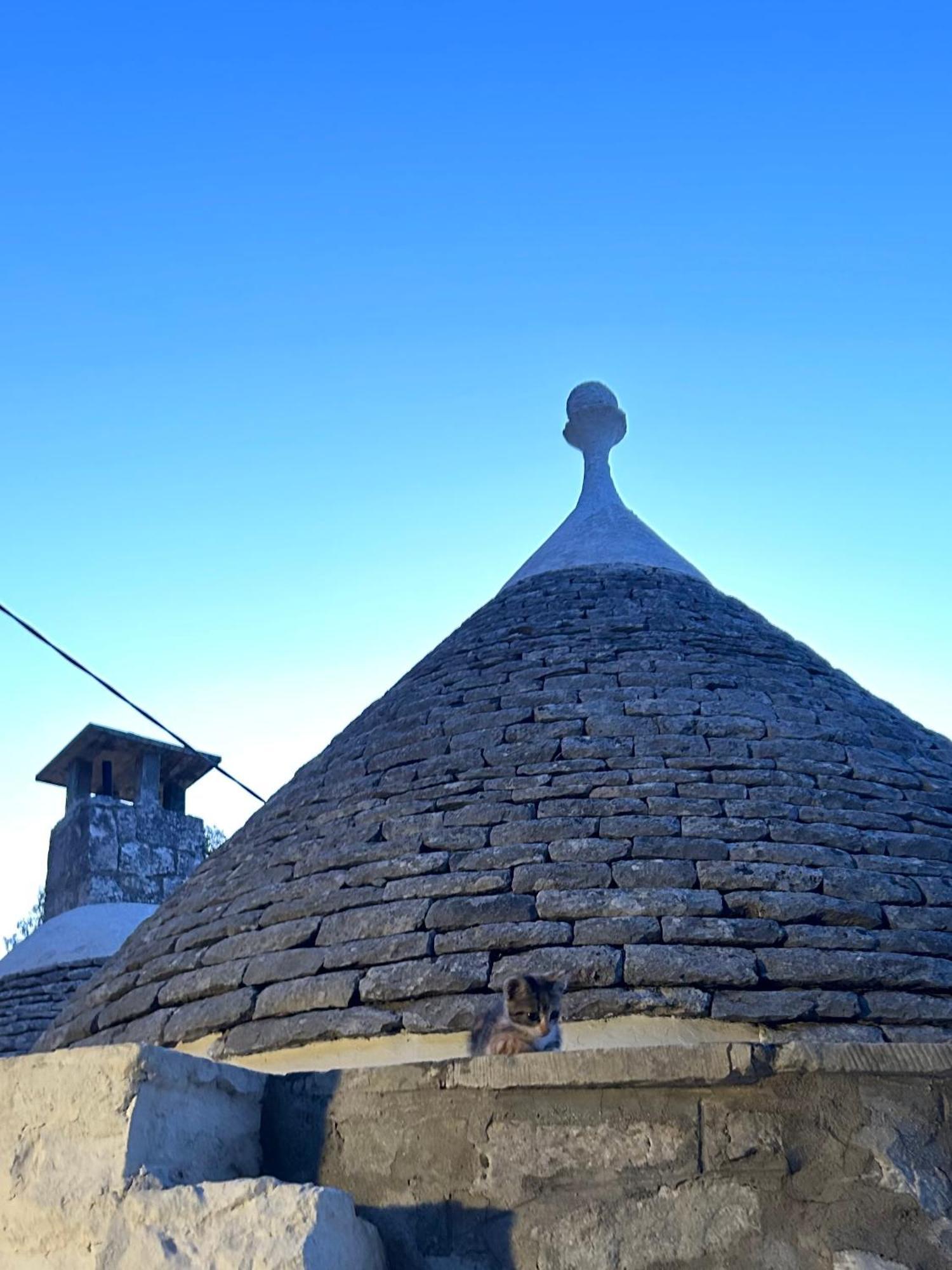 Bed and Breakfast Il Trullo Di Simona Locorotondo Zewnętrze zdjęcie